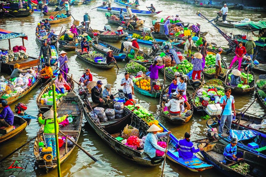 Mekong Delta: The Lifeblood of Southern Vietnam